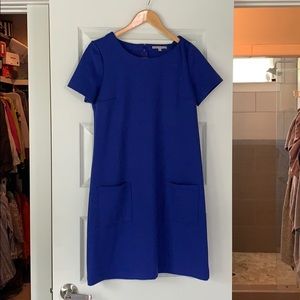 Gorgeous Blue Gap Ponte Dress SALE